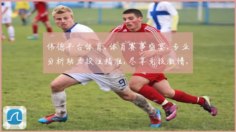 伟德平台体育,体育赛事盛宴,专业分析助力投注精准,尽享竞技激情,智慧投注之道。