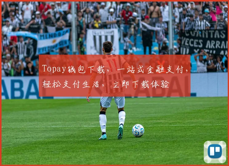 Topay钱包下载，一站式金融支付，轻松支付生活，立即下载体验