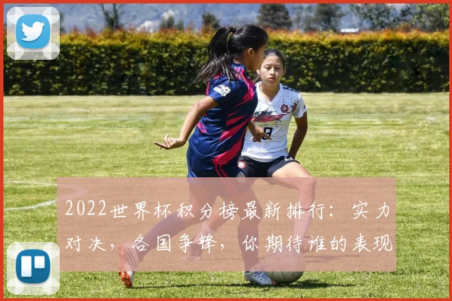 2022世界杯积分榜最新排行：实力对决，各国争锋，你期待谁的表现