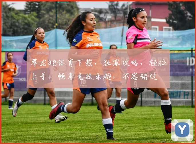 尊龙ag体育下载，独家攻略，轻松上手，畅享竞技乐趣，不容错过